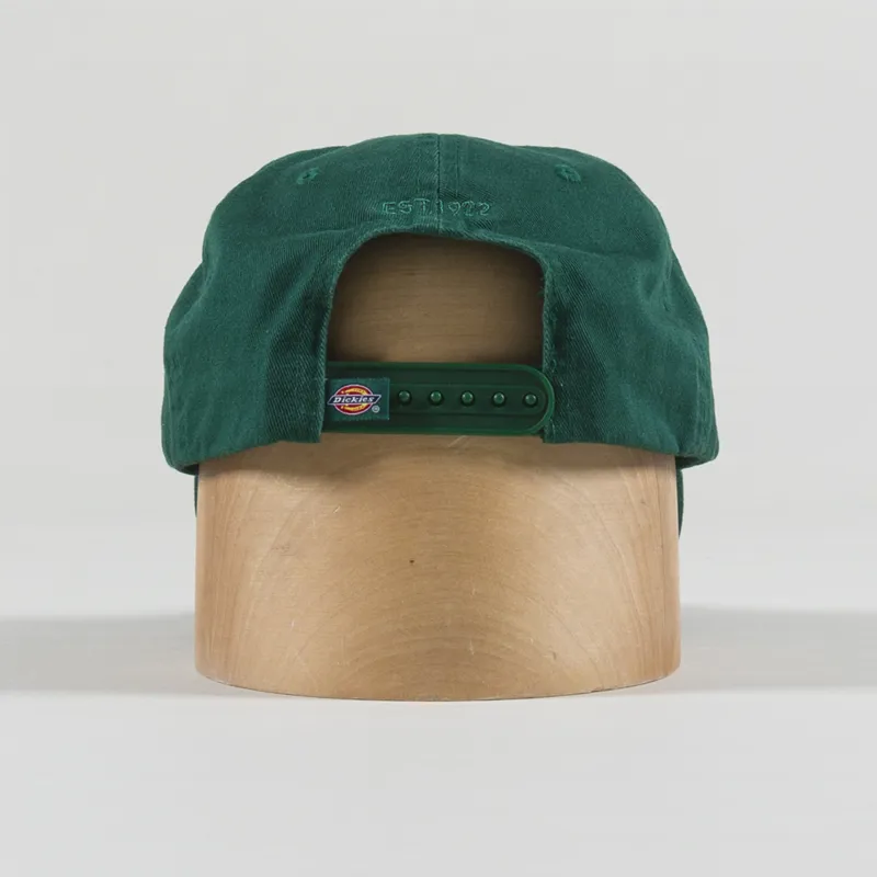 Dickies Hardwick Cap Aventurine