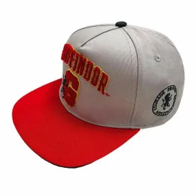 Harry Potter Gryffindor College Cap