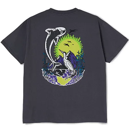 Polar Skateboards Mt. Fuji T Shirt